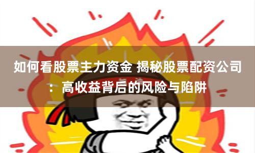 如何看股票主力资金 揭秘股票配资公司：高收益背后的风险与陷阱